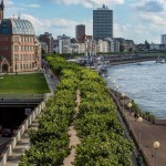 Parklane am Rhein - Platanen Allee am Joseph Beuys Ufer & Alt(e(Stadt