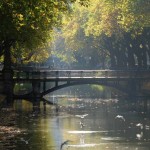 Brücken Idyll - nein, das ist nicht der Hofgarten, sondern mitten auf der Königsallee