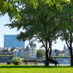 Big Greens - Oberkasseler Rheinwiesen mit Parkidylle gegenüber der Altstadtfront ( Wohnen im Paradies ?)