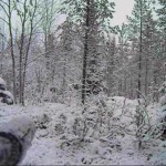 Zwischendrin mal ein bisschen Schnee